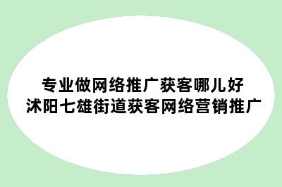 专业做网络推广获客哪儿好 沭阳七雄街道获客网络营销推广